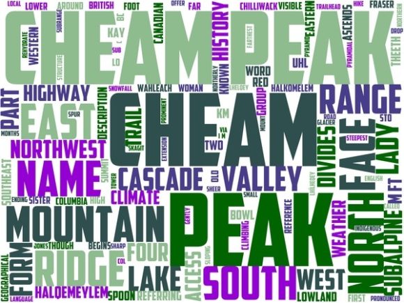 Lady of the Lake Peak Wordart Tshirt: A Strategic Tool for Creative and Business Success
