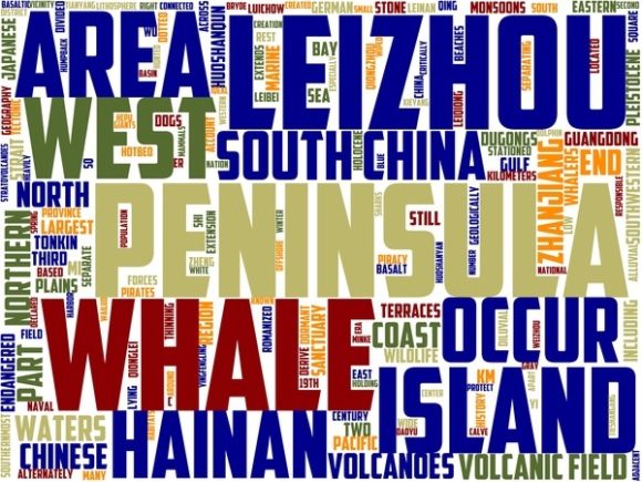 Leizhou Wordart Book Cover: A Unique Design for Creative Expression