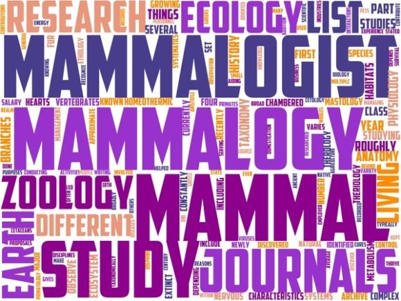 Mammalogy Wordart Print