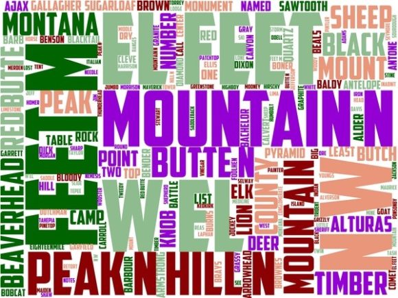 Mount Tahepia Wordart Tshirt