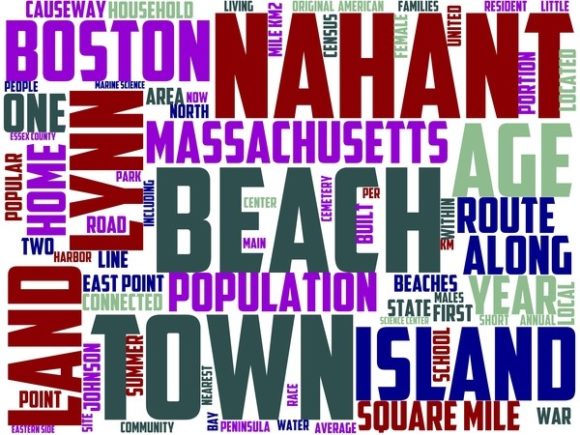 Nahant Wordart Print: A Versatile Design for Creative Expression